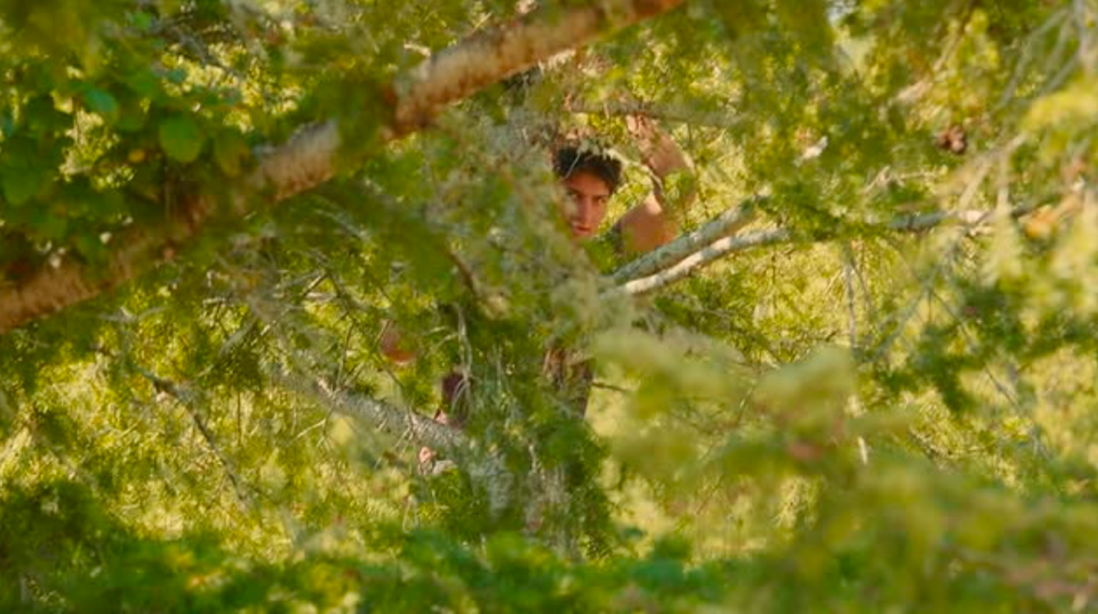 Mad River film still through green branches